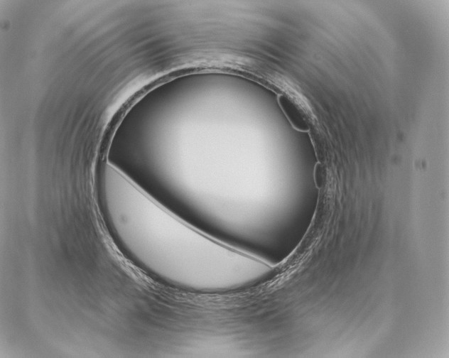 X0000086920936200704161030