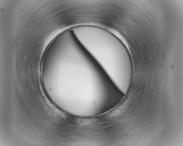 X0000086920951200704161030