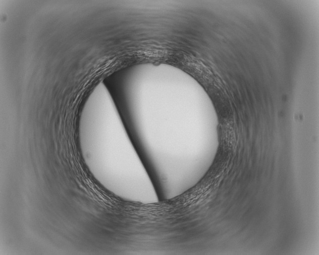 X0000086921009200704161028