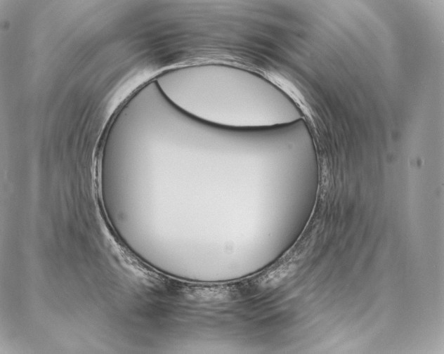 X0000086921047200704161029