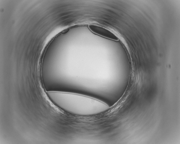 X0000086921053200704161029