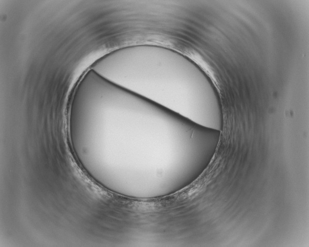 X0000086921088200704161028