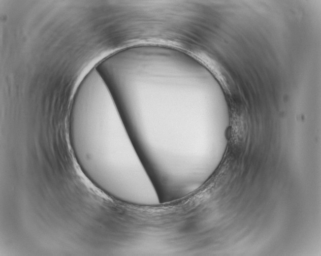 X0000086921100200704161027