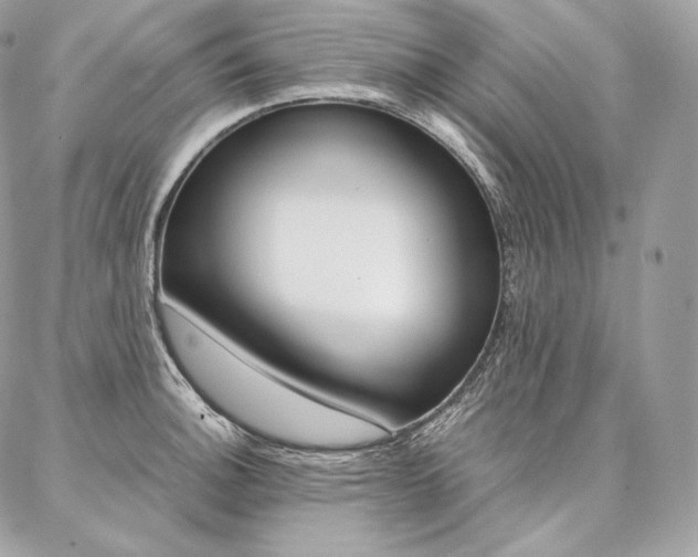 X0000086921140200704161027