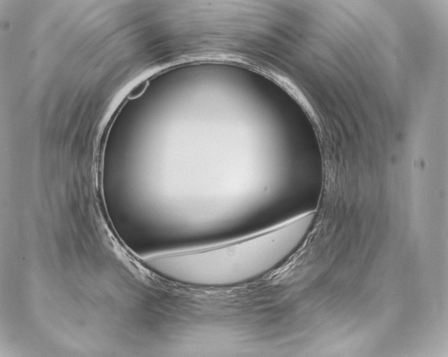 X0000086921148200704161027