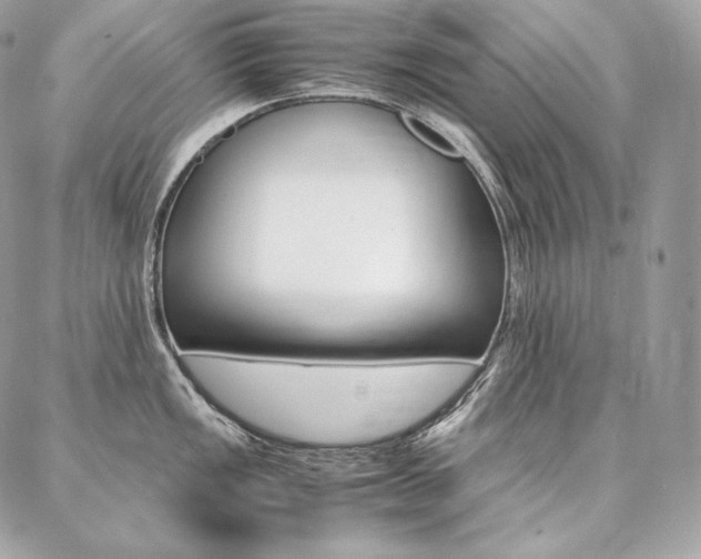 X0000086921149200704161027
