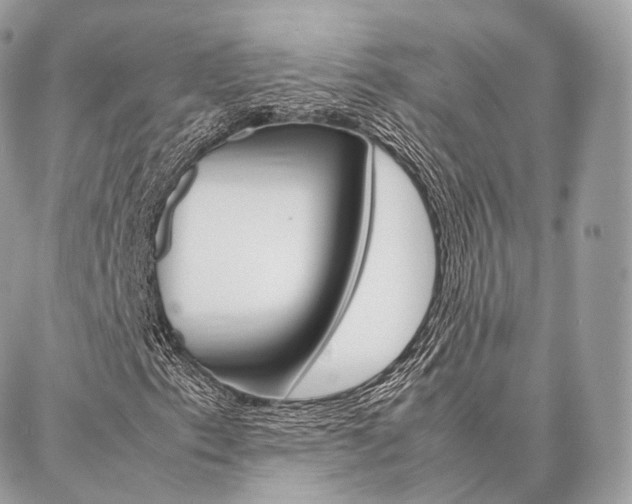 X0000086921153200704161026