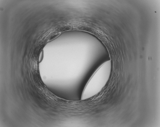 X0000086921155200704161026