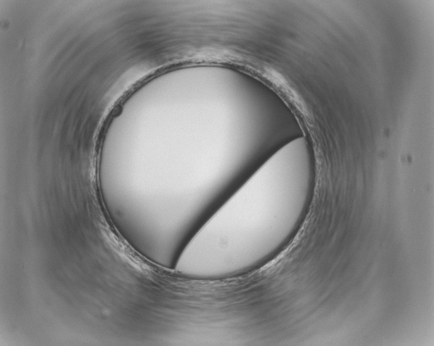 X0000086921232200704161025