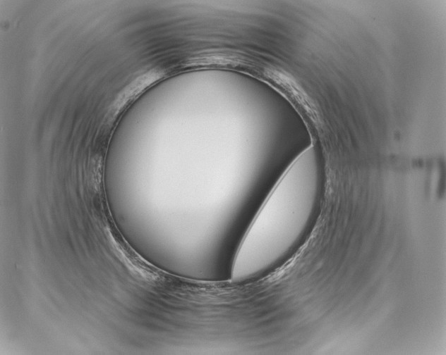 X0000086921233200704161025