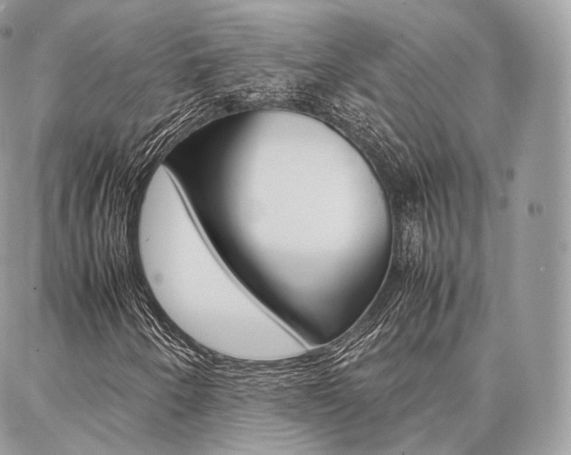 X0000086921250200704161025