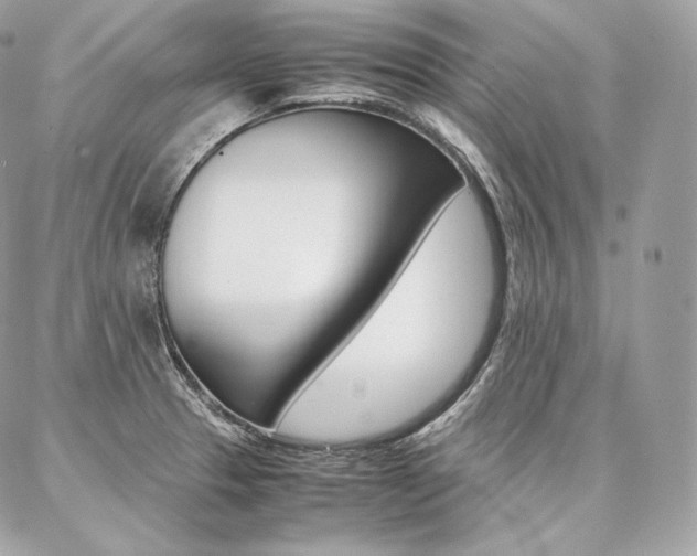 X0000086921329200704161024
