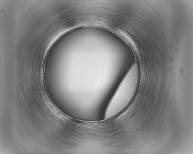 X0000086921340200704161024