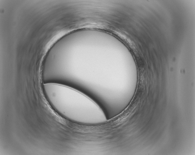 X0000086921375200704161023