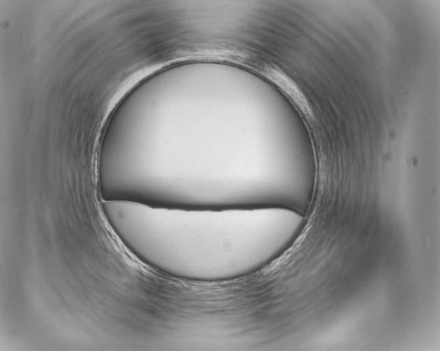 X0000086921436200704161022