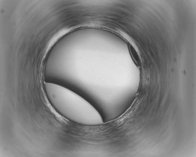 X0000086921437200704161022