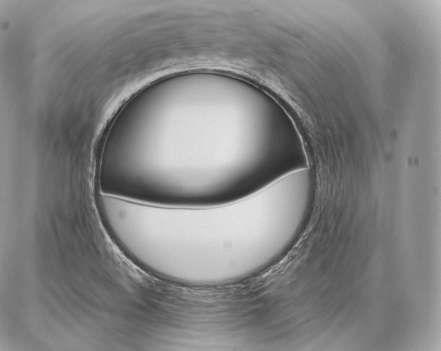X0000086921508200704161020