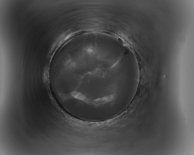 X0000086920002200704161413