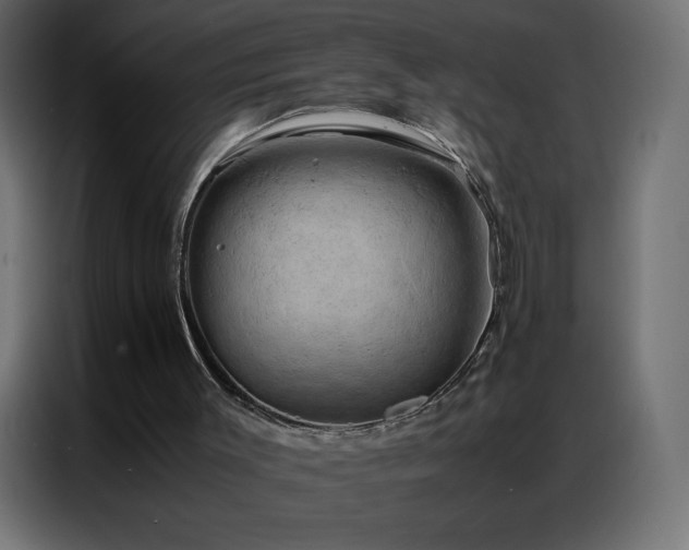 X0000086920003200704161413