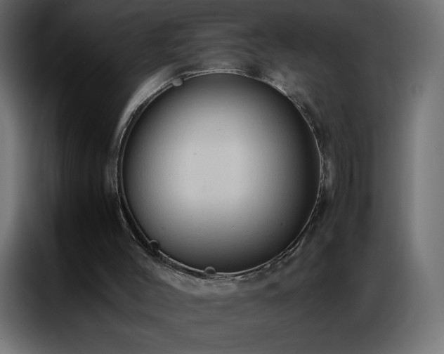 X0000086920004200704161413