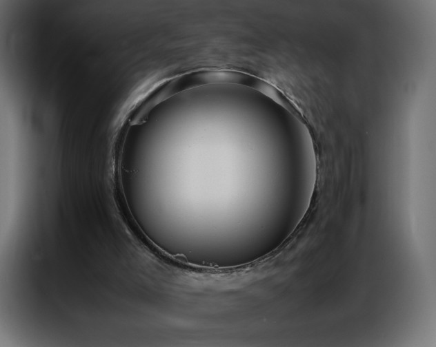 X0000086920005200704161413