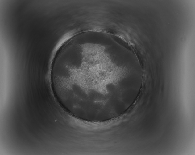 X0000086920006200704161413