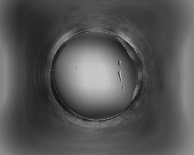 X0000086920007200704161413
