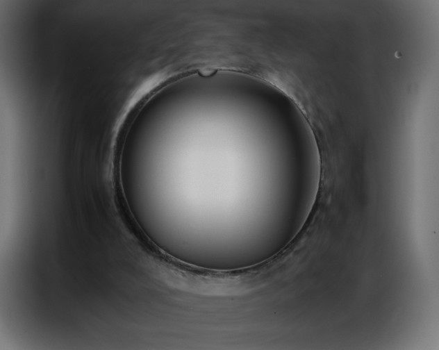 X0000086920008200704161412