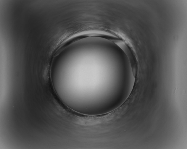 X0000086920009200704161412