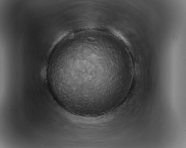 X0000086920010200704161412