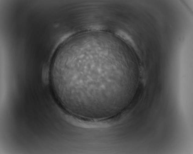 X0000086920012200704161412