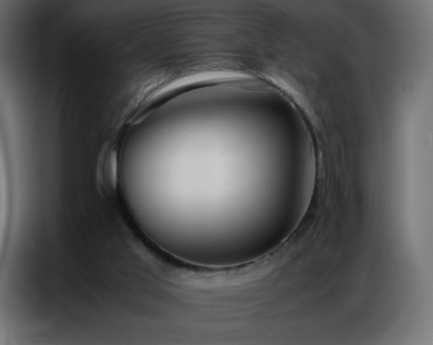 X0000086920013200704161412