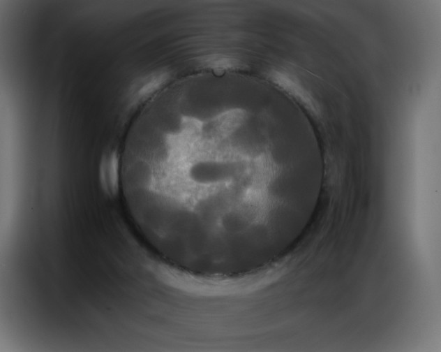 X0000086920014200704161412