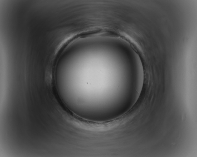 X0000086920015200704161412