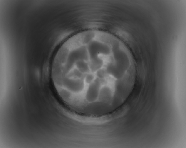 X0000086920016200704161412