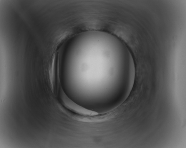 X0000086920017200704161412