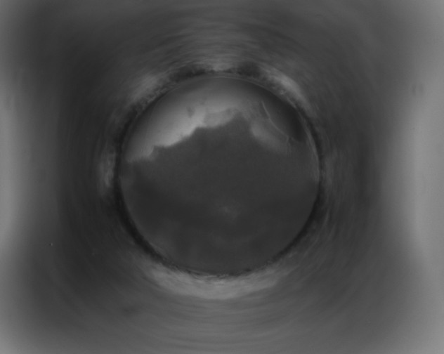 X0000086920018200704161412