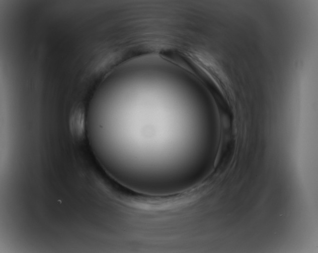 X0000086920021200704161412
