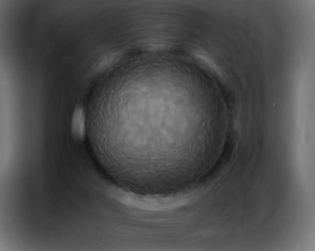 X0000086920022200704161412
