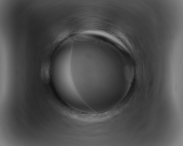 X0000086920023200704161412