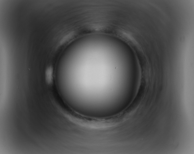 X0000086920024200704161412