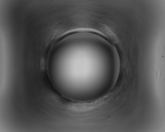 X0000086920025200704161412