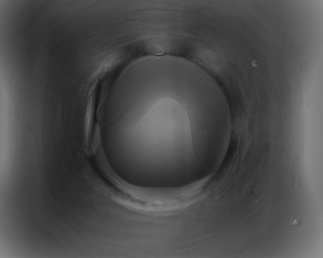 X0000086920027200704161412