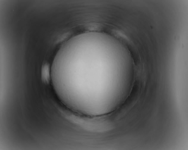 X0000086920028200704161412