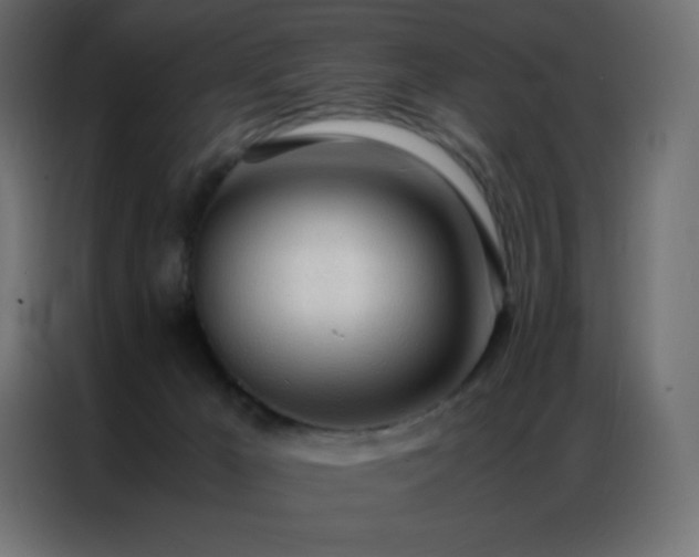 X0000086920029200704161412