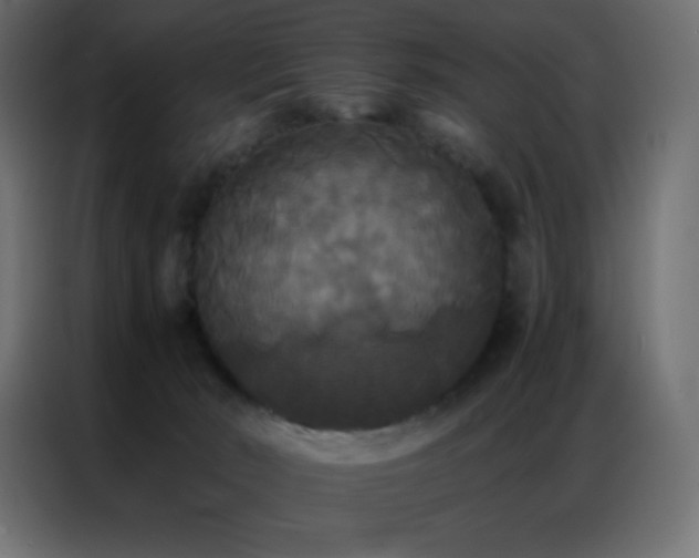 X0000086920030200704161412