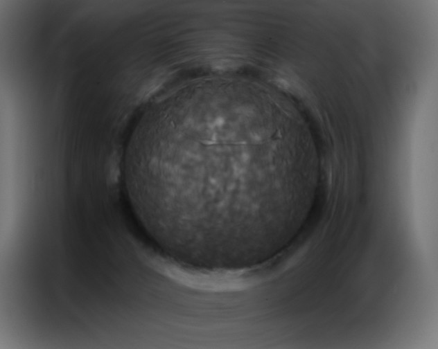 X0000086920032200704161412