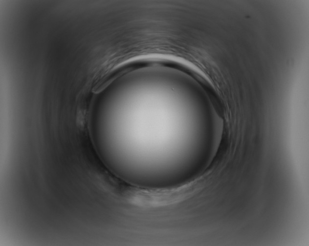 X0000086920033200704161412