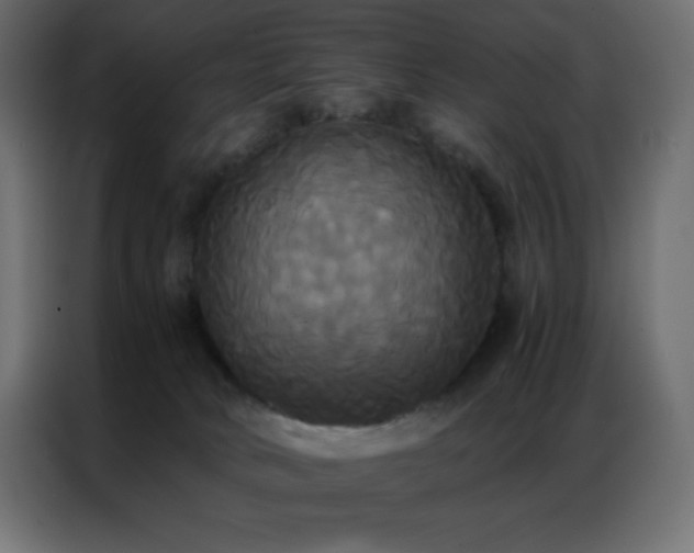 X0000086920034200704161412