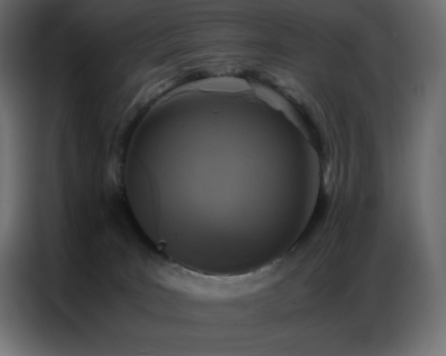 X0000086920035200704161412